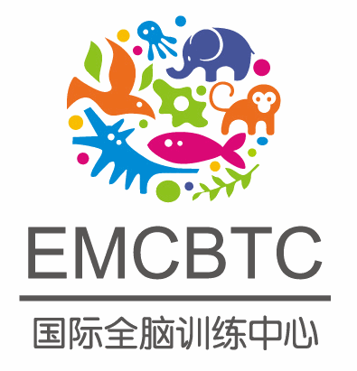 emcbtc國際全腦訓(xùn)練中心加盟