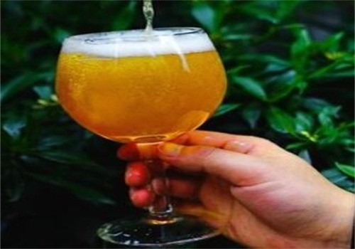 特魯斯啤酒加盟