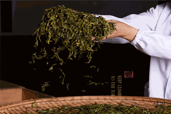 巔茶茶葉加盟