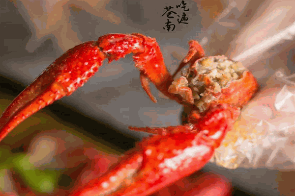 蝦王邂逅加盟