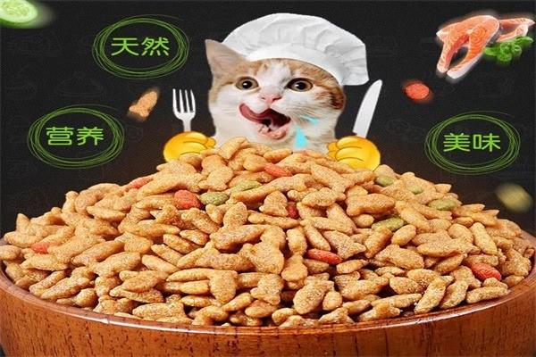 渴望貓糧加盟