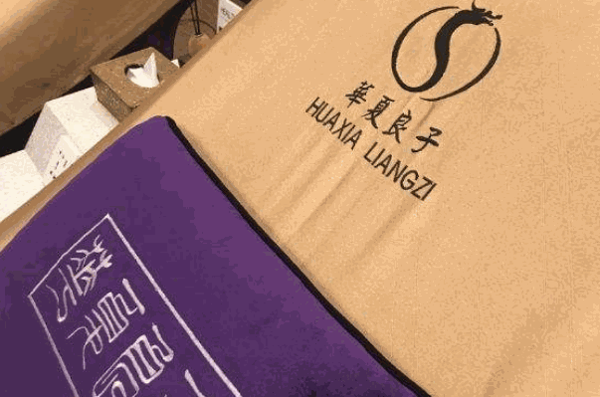 華夏良子SPA理療