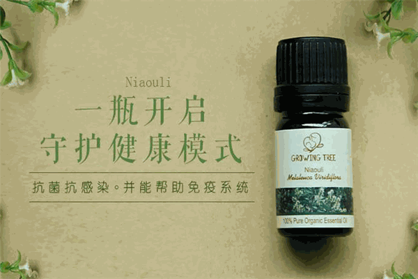 華新精油加盟