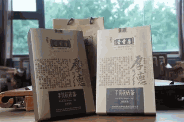 晉豐厚黑茶加盟