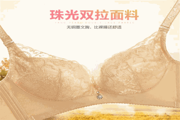 鴻姿情內(nèi)衣加盟