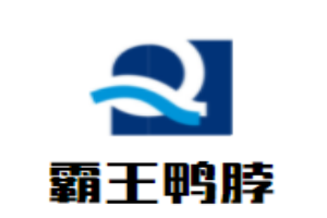 霸王鴨脖加盟