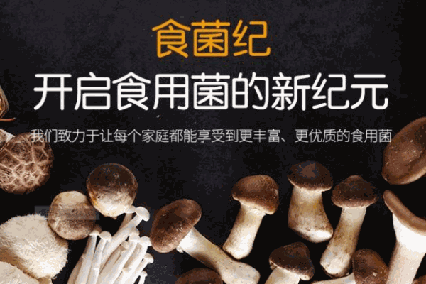 食菌紀加盟