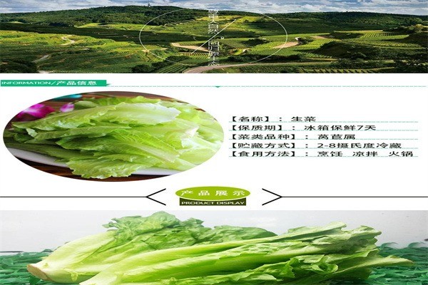 綠品源蔬菜配送加盟