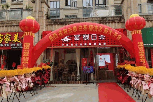 云根白茶加盟