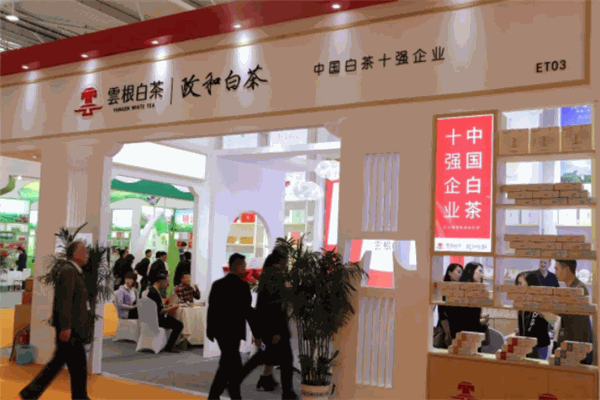 云根白茶加盟
