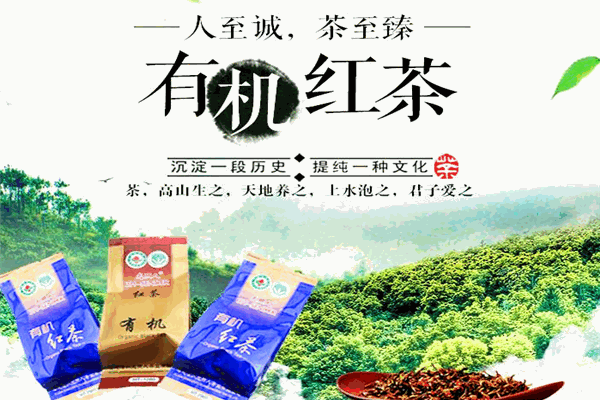光照人有機茶加盟
