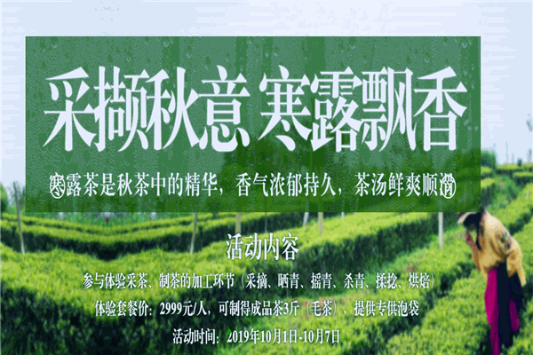 光照人有機茶加盟