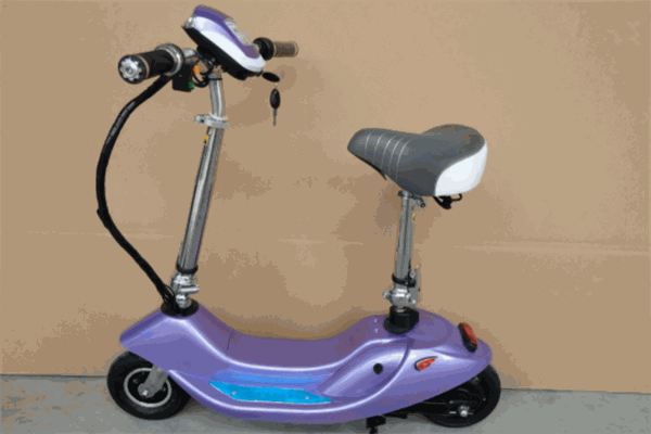 小海豚電動(dòng)車加盟
