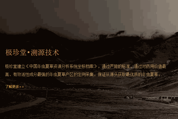 極珍堂冬蟲(chóng)夏草