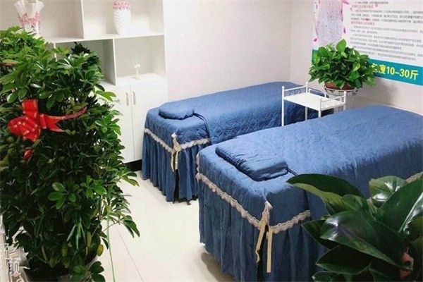 愛(ài)麗瘦減肥加盟