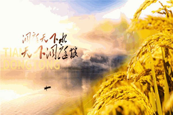金禾糧油加盟