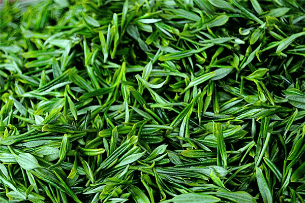 潤葉茶業(yè)加盟