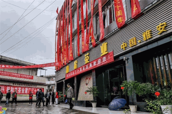 和龍茶業(yè)加盟