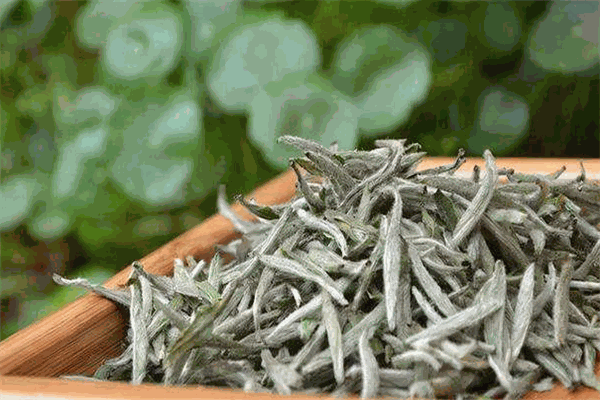 昱霖茶葉加盟
