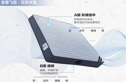 睡王床墊