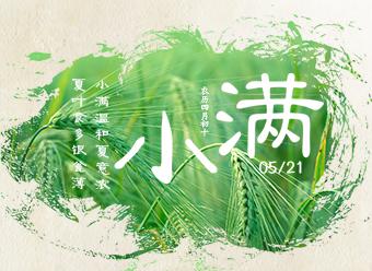 芒果派