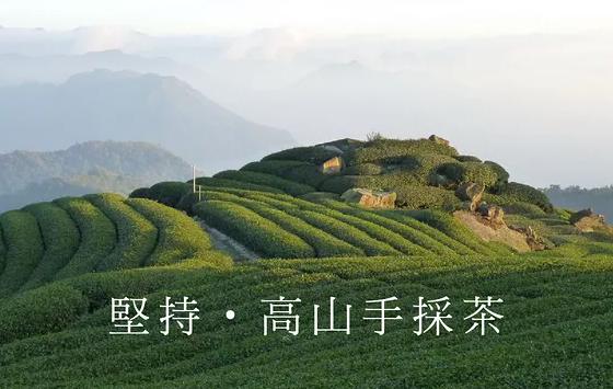 夢茶