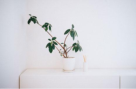 串妹花式冰粉
