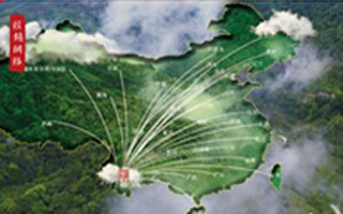 陳升號(hào)普洱茶