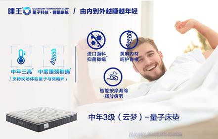睡王床墊