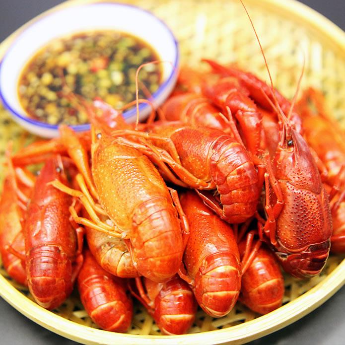 朱火火龍蝦壹號(hào)