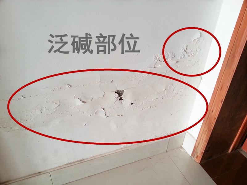 米奇漆