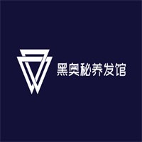 黑奧秘養(yǎng)發(fā)館加盟