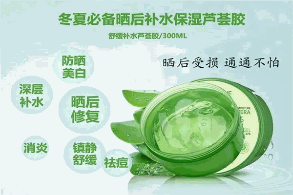 自然樂園蘆薈膠加盟
