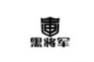黑將軍智能鎖加盟