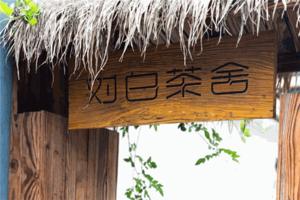 對(duì)白茶舍加盟