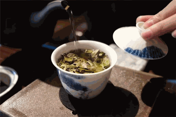 國賓茶葉加盟