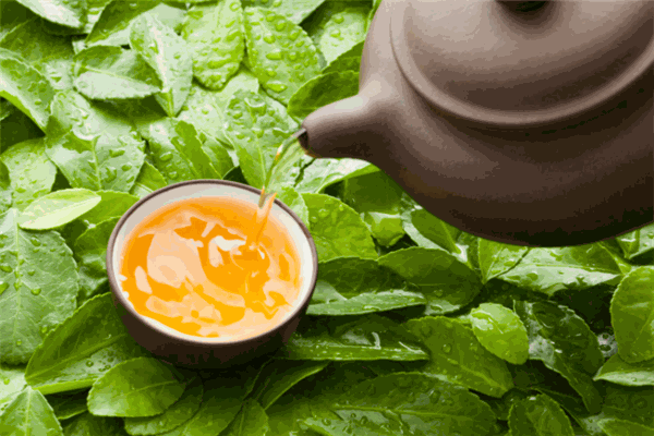 泰源茶業(yè)加盟