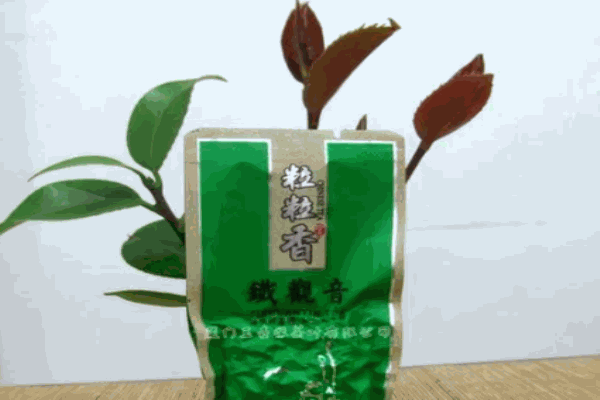 粒粒香茶葉加盟
