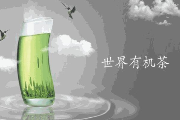 新安源有機茶加盟