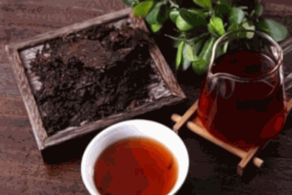 柏聯(lián)普洱茶葉加盟