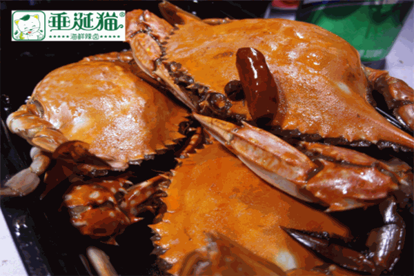 垂涎貓海鮮辣鹵加盟