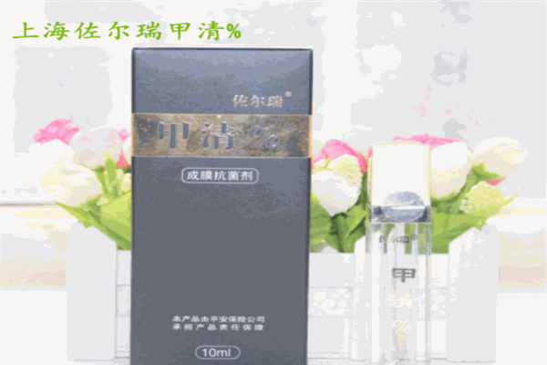 佐爾瑞甲清加盟
