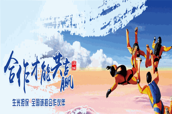 生光擔(dān)保加盟