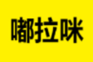 嘟拉咪兒童游樂(lè)園加盟