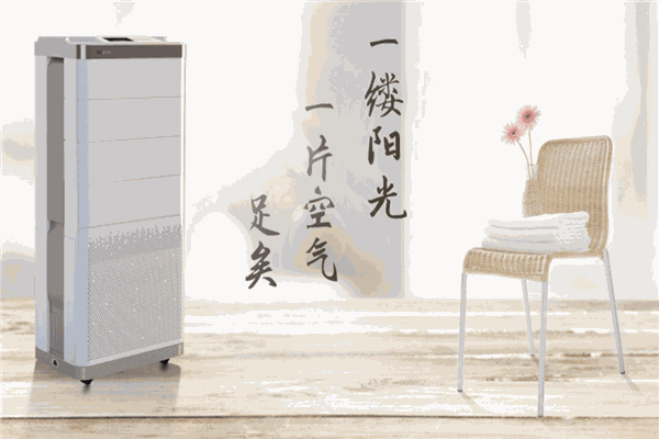 雅詩(shī)凈化器加盟