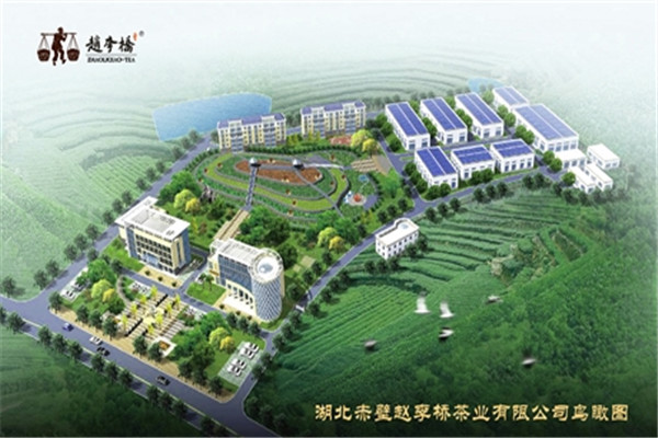 趙李橋茶業(yè)加盟