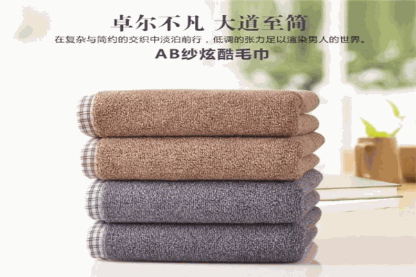 愛(ài)雨莎毛巾加盟