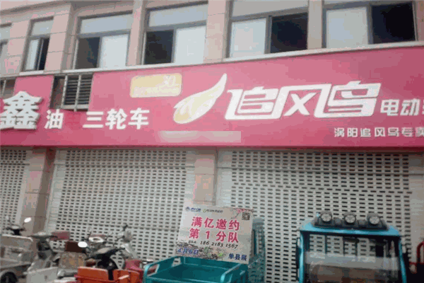 追風(fēng)鳥電動車加盟
