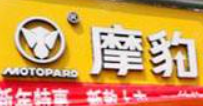 摩豹電動車加盟