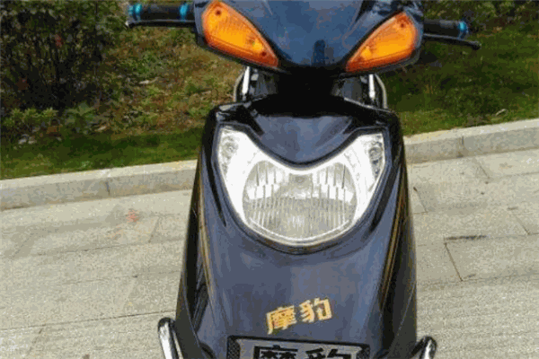 摩豹電動(dòng)車加盟